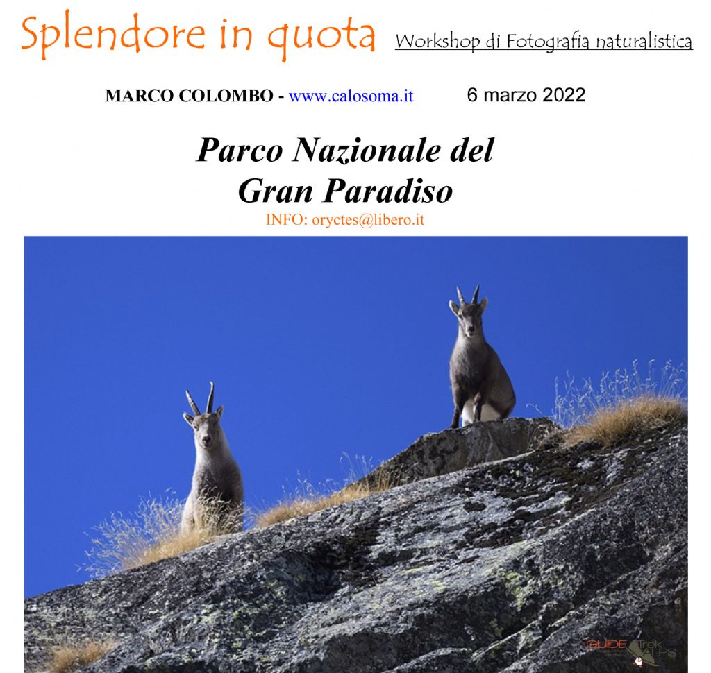 workshop di fotografia naturalistica, Parco Nazionale Gran Paradiso